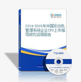 2014-2018年中國(guó)發(fā)動(dòng)機(jī)管理系統(tǒng)企業(yè)IPO上市指導(dǎo)研究咨詢(xún)報(bào)告市場(chǎng)調(diào)查分析